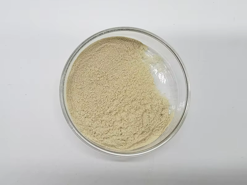 Antioxidant Improve Sleep Food Grade Natural Enzymolysis Lotus Seed Powder